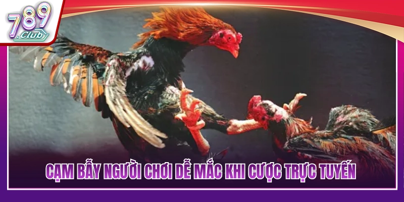 Những rủi ro và cạm bẫy tiềm ẩn khi cá cược trực tuyến 