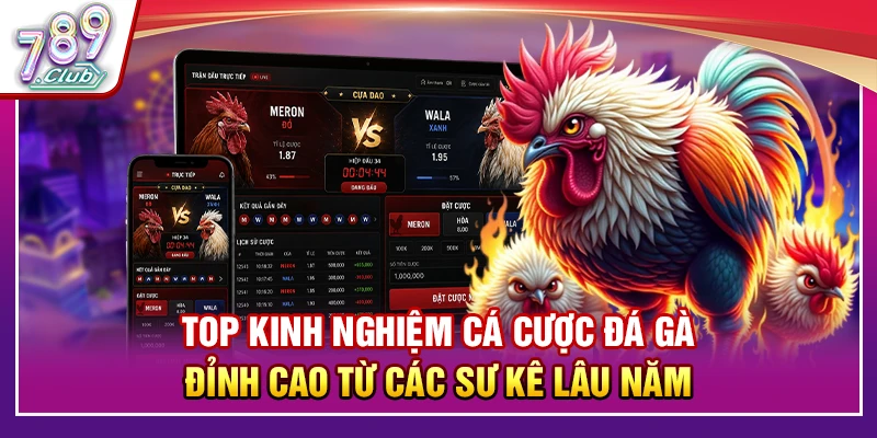 Top Kinh Nghiệm Cá Cược Đá Gà Đỉnh Cao Từ Các Sư Kê Lâu Năm